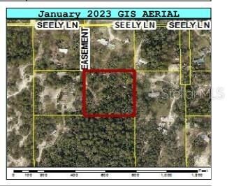 Property Photo:  12070 Seely Lane  FL 34613 