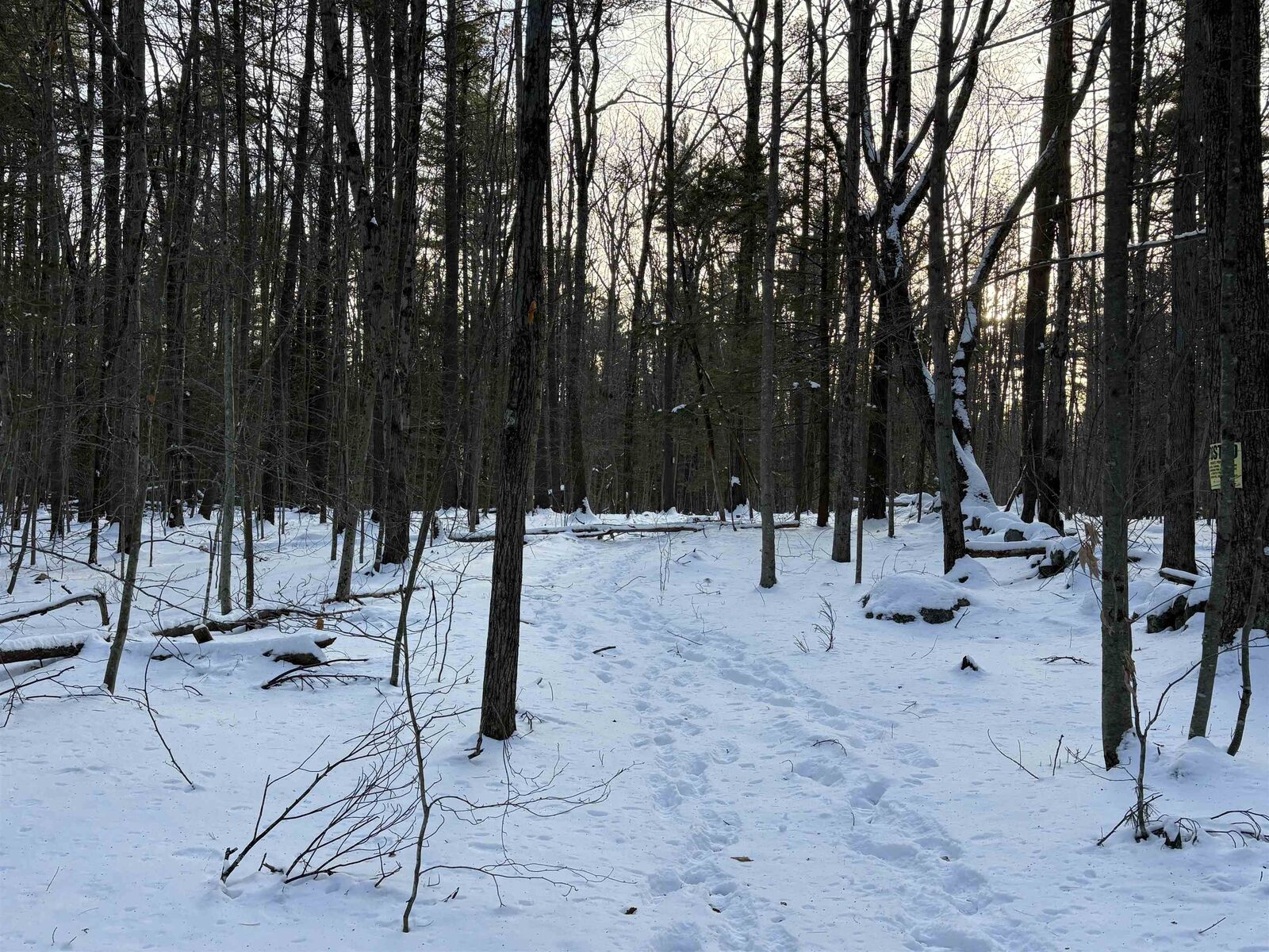 Property Photo:  Lot 80-1 Currier Road  NH 03034 