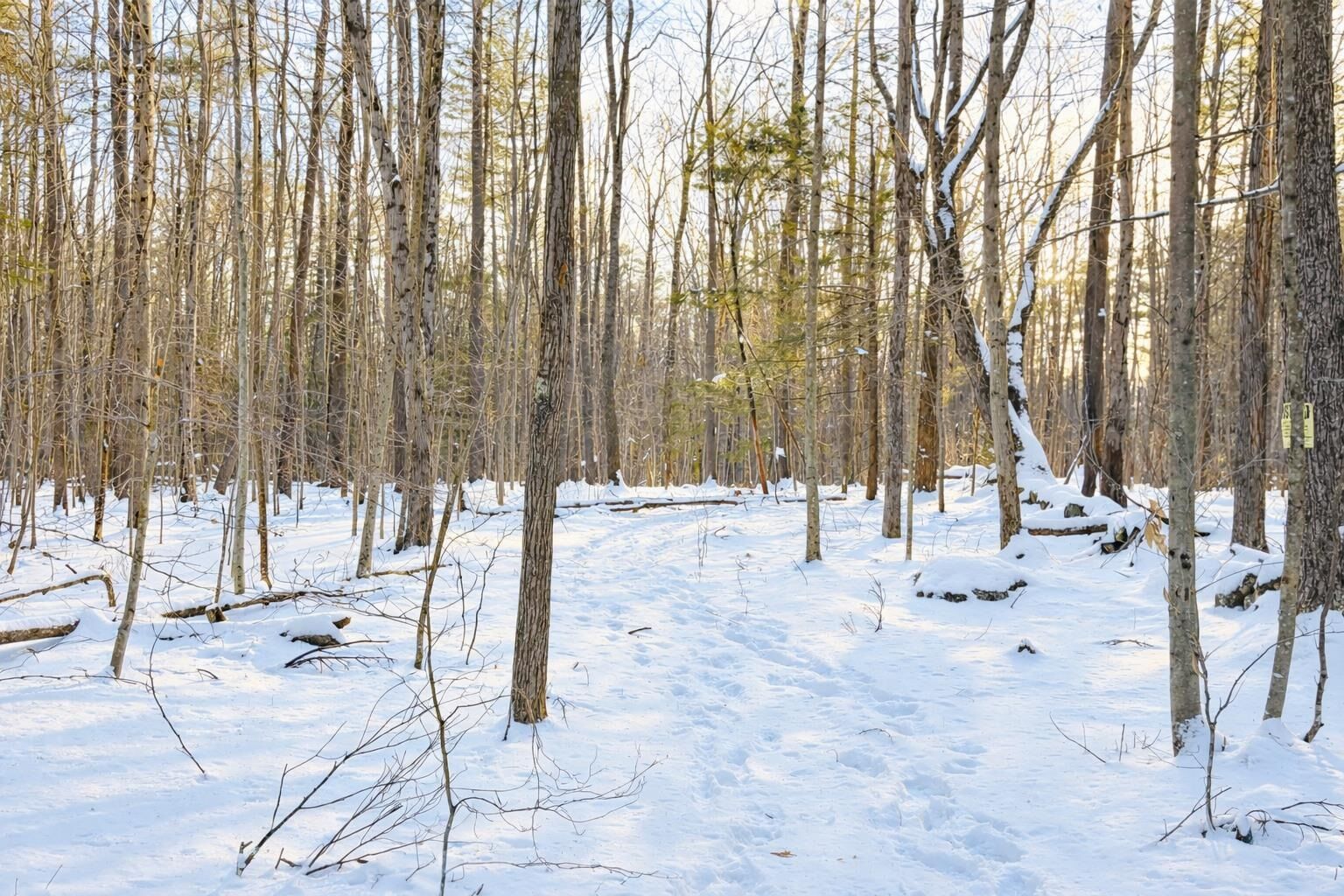Property Photo:  Lot 80-1 Currier Road  NH 03034 