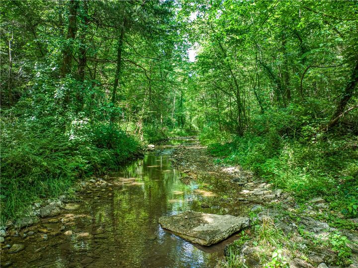 Property Photo:  County Road 231  AR 72675 