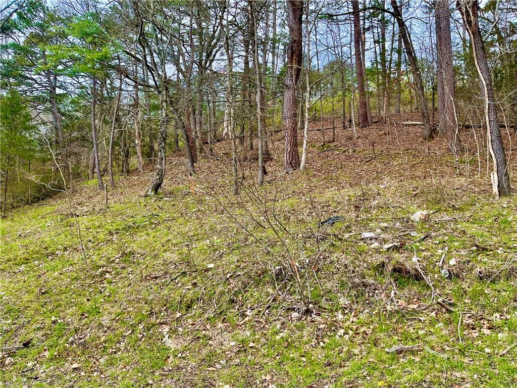 Property Photo:  103 Washington  AR 72632 