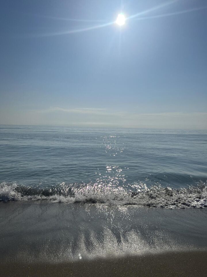 Property Photo: 9800 S Ocean Drive 214 FL 34957