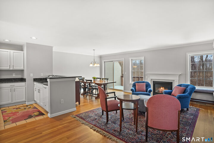 Property Photo:  1003 Larson Drive 1003  CT 06810 