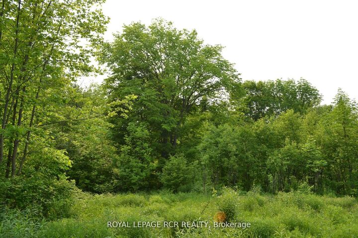 Property Photo:  1527 Madill Road  ON K0M 1R0 