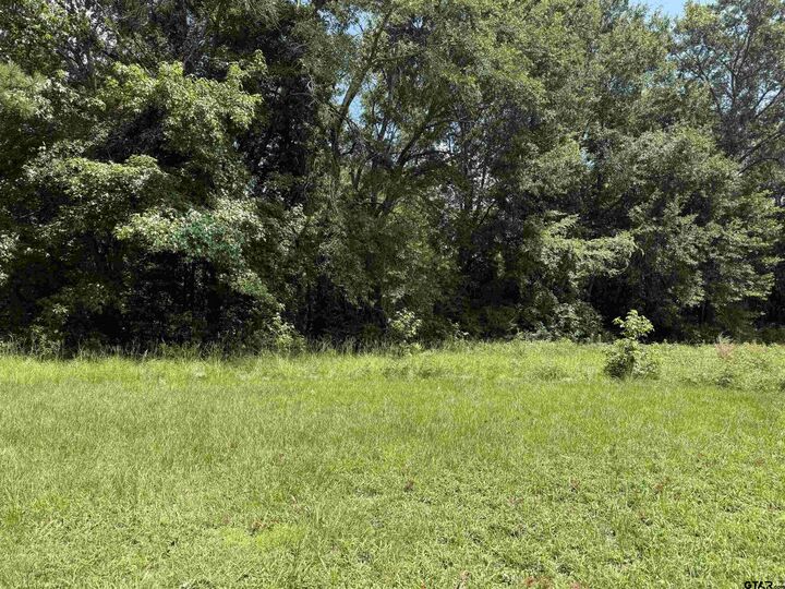 Property Photo:  000 Lake Dr  TX 75792 