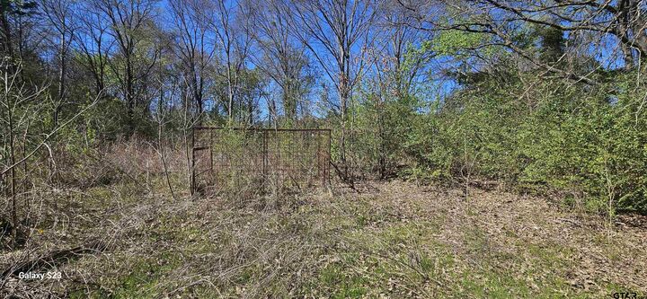 Property Photo:  2415 Fm 17  TX 75410 