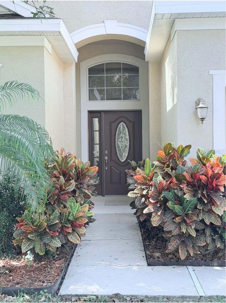 Property Photo:  12715 Whitney Meadow Way  FL 33578 