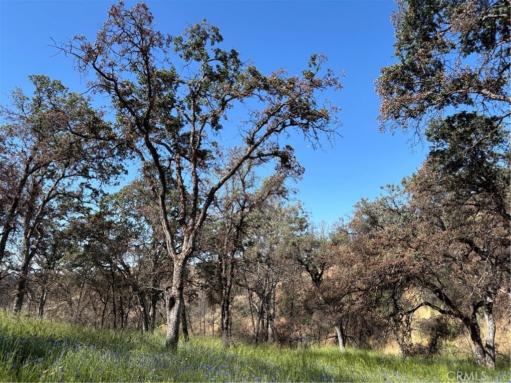 Property Photo:  5358 Mariposa Heights Road  CA 95338 