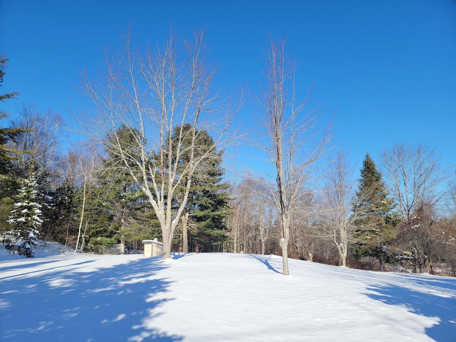 Property Photo:  1244 Gary Moore Road  ME 04605 
