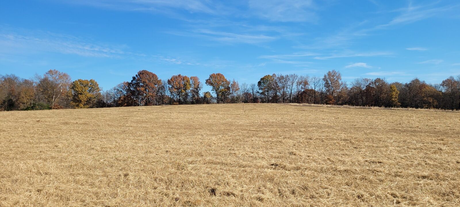 Property Photo:  7 Mount Lebanon Church Rd  TN 37160 