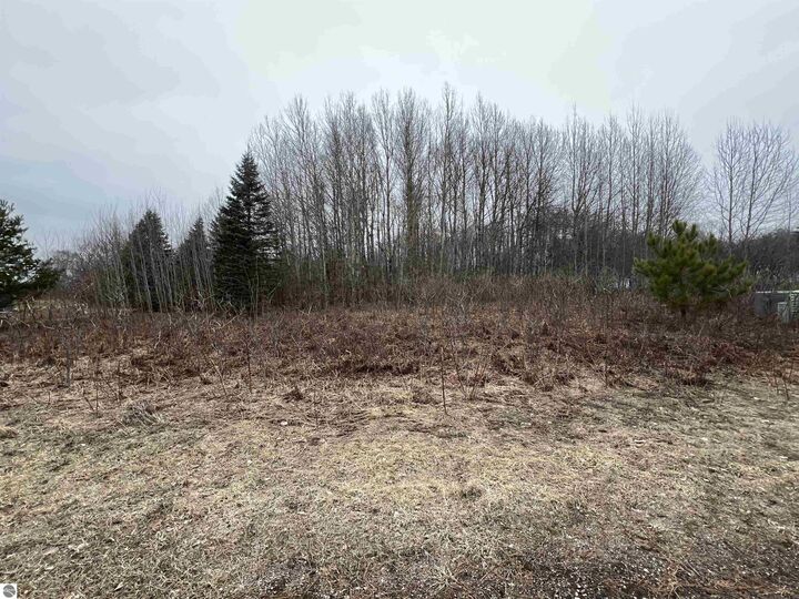Property Photo:  Lot 19 Crestview Drive  MI 49601 