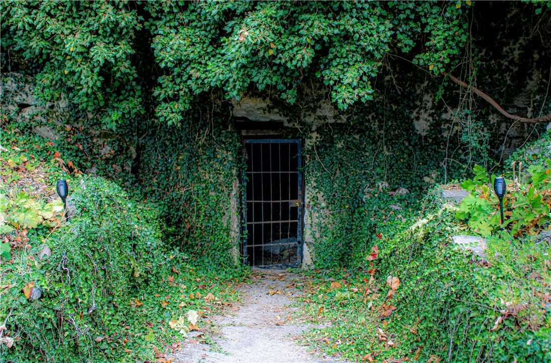 Property Photo:  1770 Mc 5026  AR 72682 