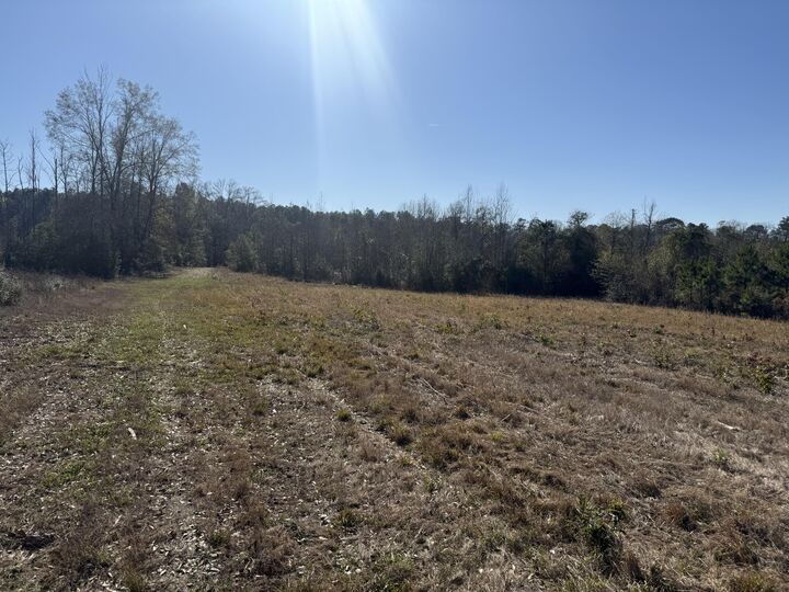 Property Photo:  Tbd Hwy 10  LA 70656 