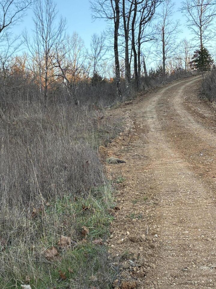 Property Photo:  4118 County Road  MO 65761 