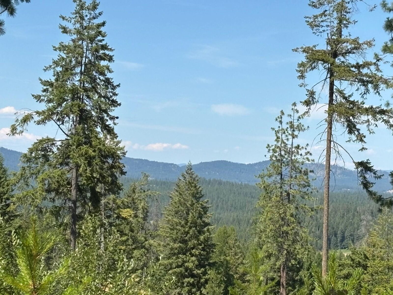 Property Photo: 34711 N Waldrons Ln 49311.9012 WA 99003