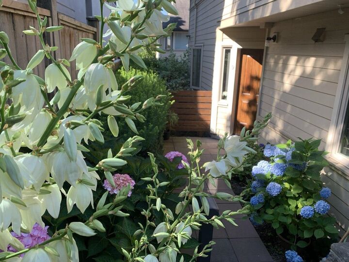 Property Photo:  215 E 4th Street 9  BC V7L 1J1 