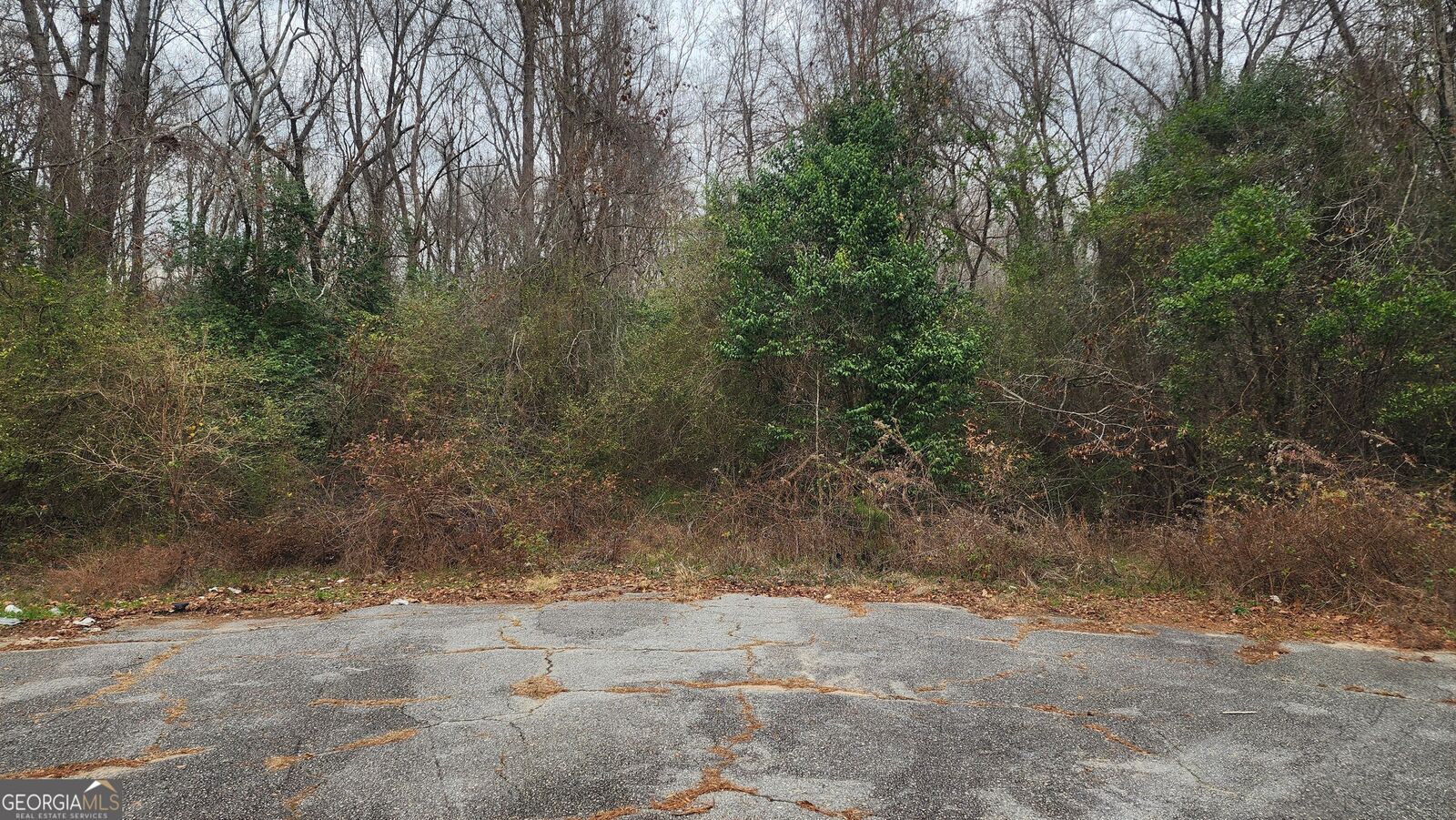 Property Photo: 3446 Kingsview Circle GA 31211