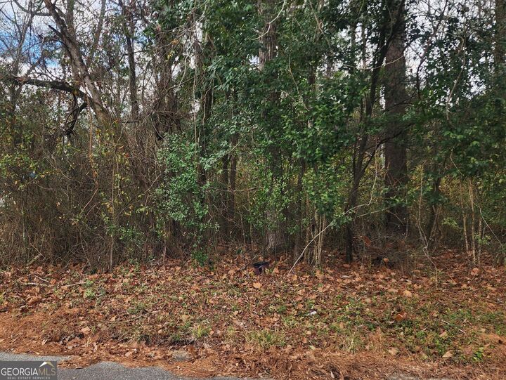 Property Photo:  0 Champion Drive  GA 31211 