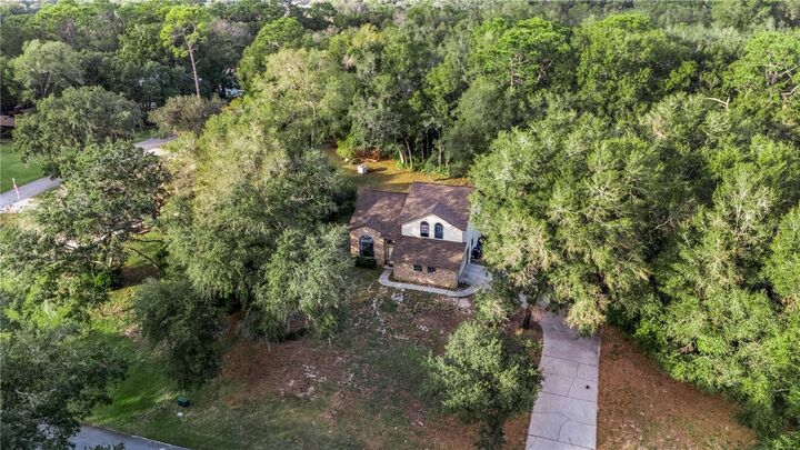 Property Photo:  425 Black Ironwood Drive  FL 32724 