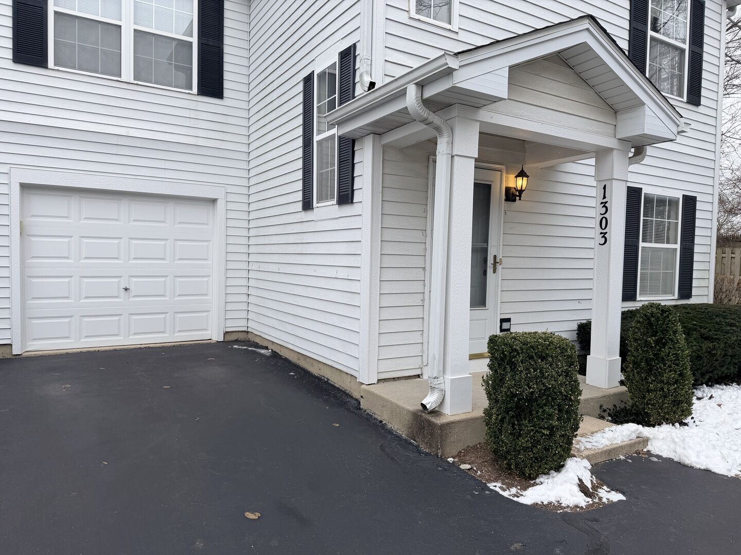 Property Photo:  1303 Orleans Drive  IL 60060 