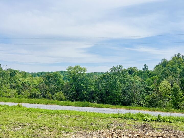 Property Photo:  518 Beaver Lane  TN 38562 