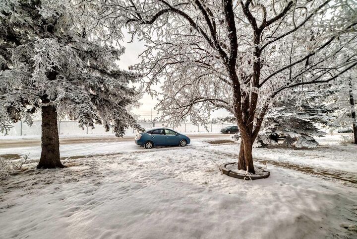 Property Photo:  203 Falwood Way NE  AB T3J 1A9 