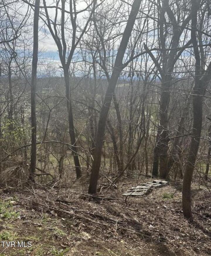 Property Photo:  322 Bayberry Drive  TN 37663 