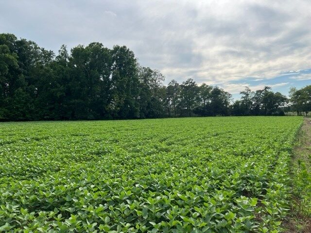 Property Photo:  Lot 22C Bullbeggar Rd  VA 23488 