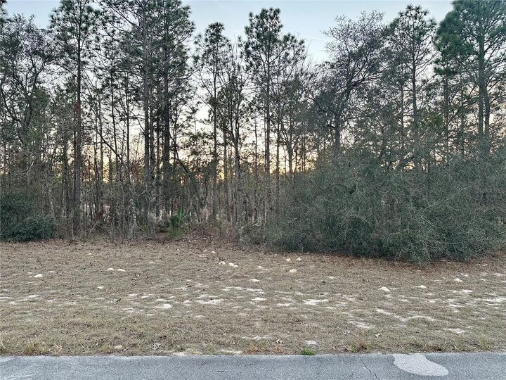 Property Photo:  0 SW 129th Pl  FL 34473 