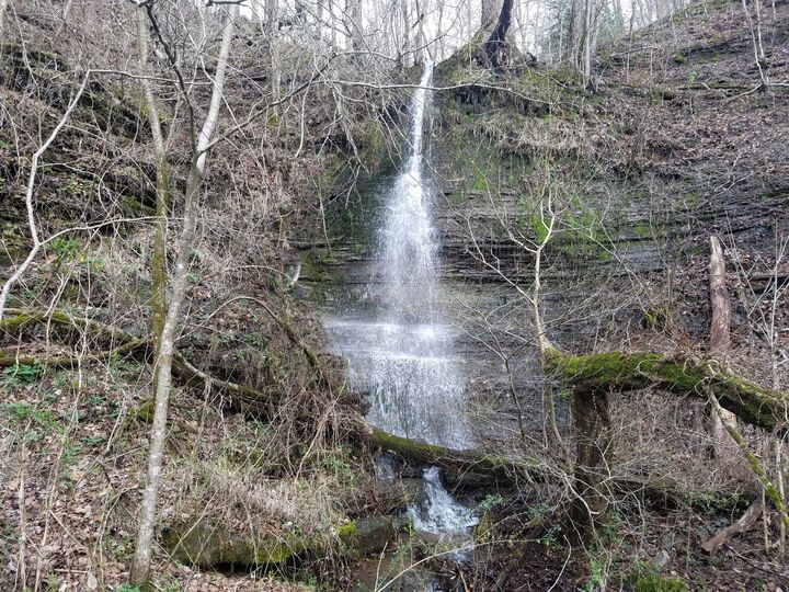 Property Photo:  323 Spring Creek Rd  TN 38486 