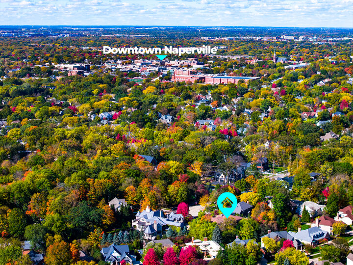 Property Photo:  908 Julian Court  IL 60540 