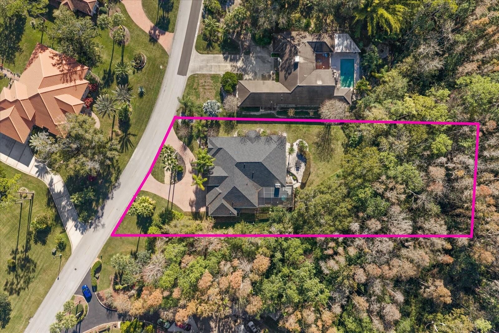 Property Photo: 5243 Foxhunt Drive FL 33543