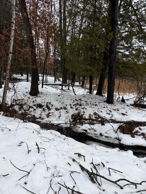 Property Photo:  V/L 7 Mile Road  MI 49346 