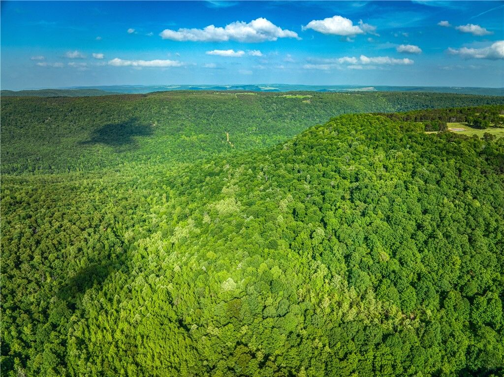 Property Photo: Off Of 16 Highway AR 72686