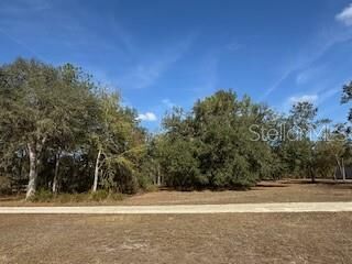 Property Photo:  Lot 7 SW 39th Drive  FL 32054 