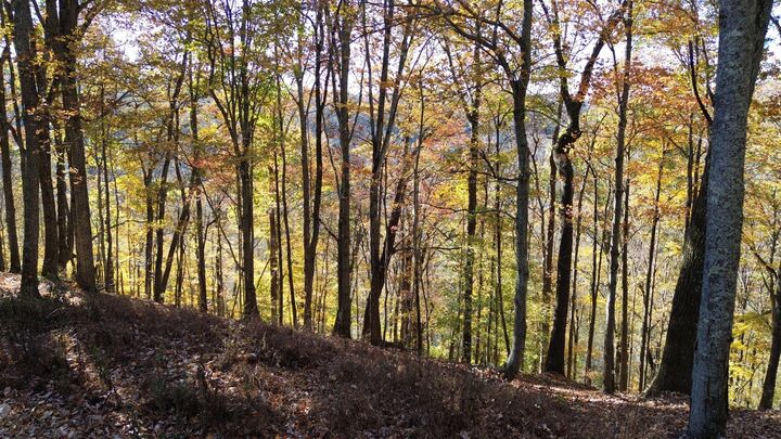 Property Photo:  0 Savannah Dr  TN 37166 