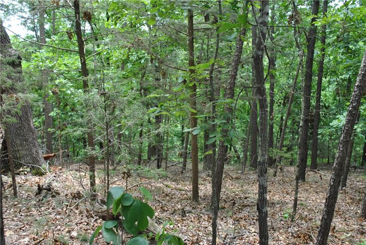 Property Photo:  Lots 87-92 Mockingbird Lane  AR 72756 
