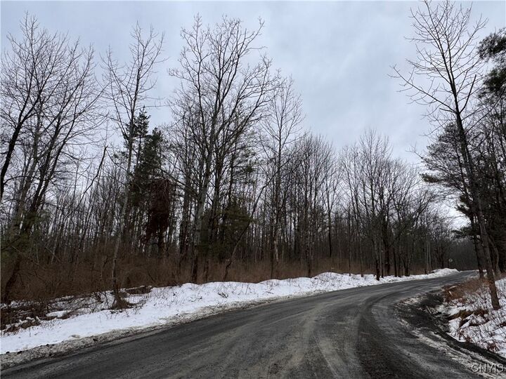 Property Photo:  102 Beech Hill Road  NY 14867 