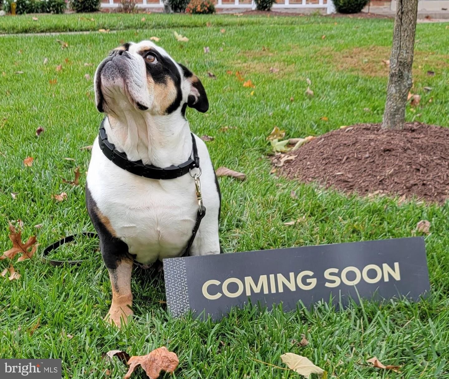 Property Photo:  806 Clearview Avenue  MD 21074 