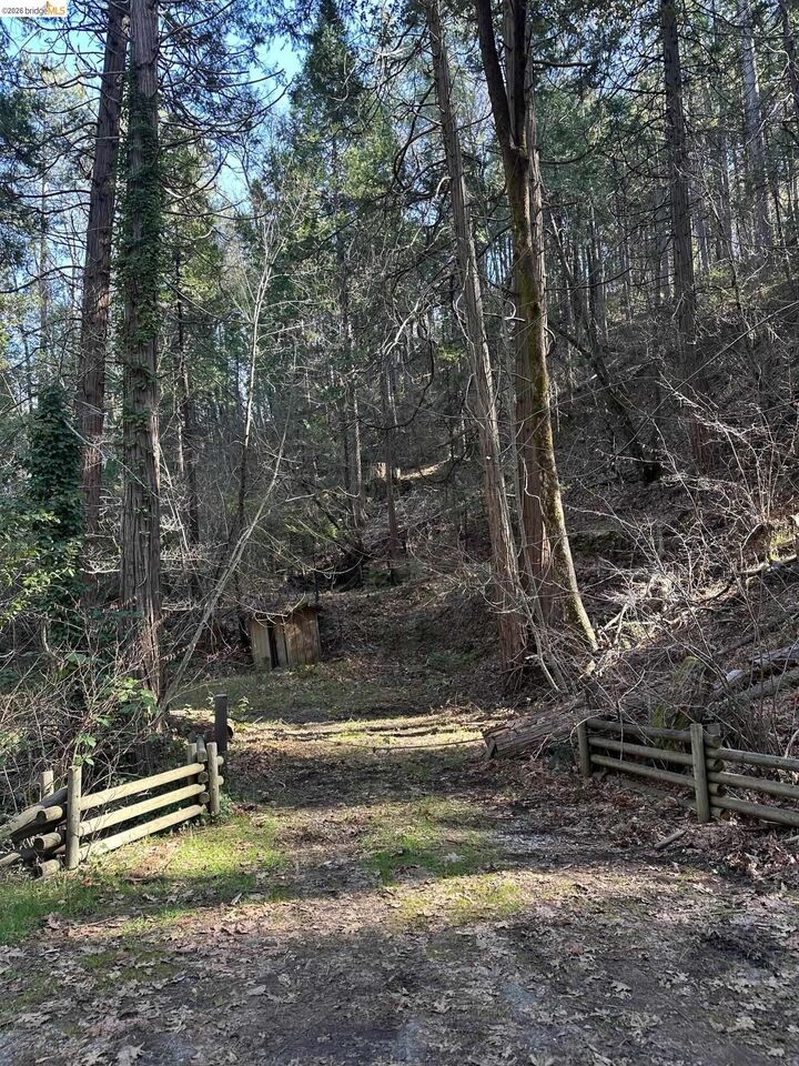 Property Photo:  22895 S Fork Rd.  CA 95383 