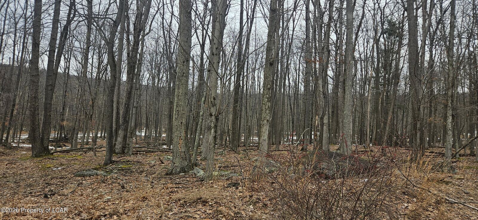 Property Photo: 214 Chippewa Drive PA 18202