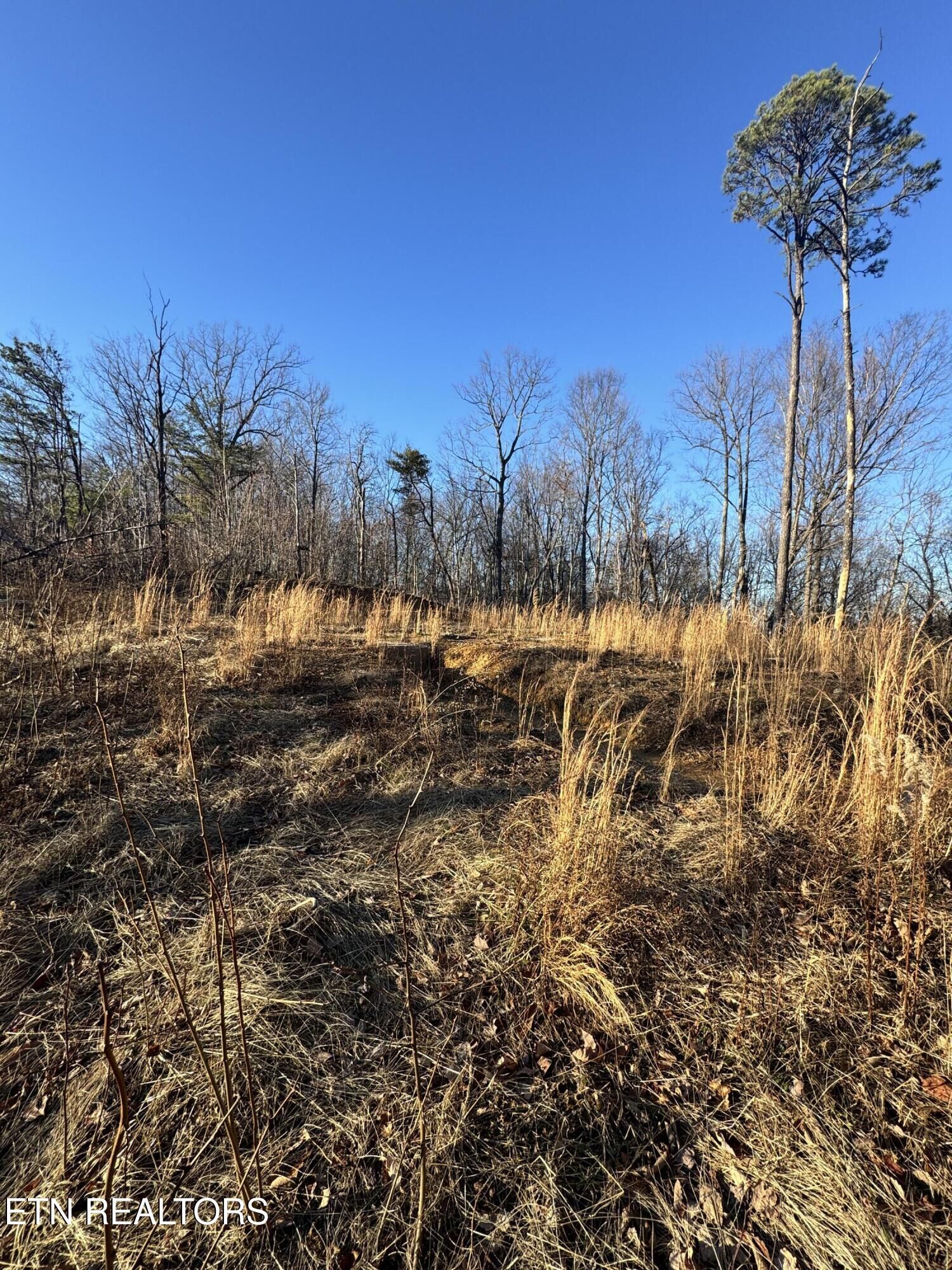 Property Photo:  3361 Sugar Maple Loop Rd  TN 37862 