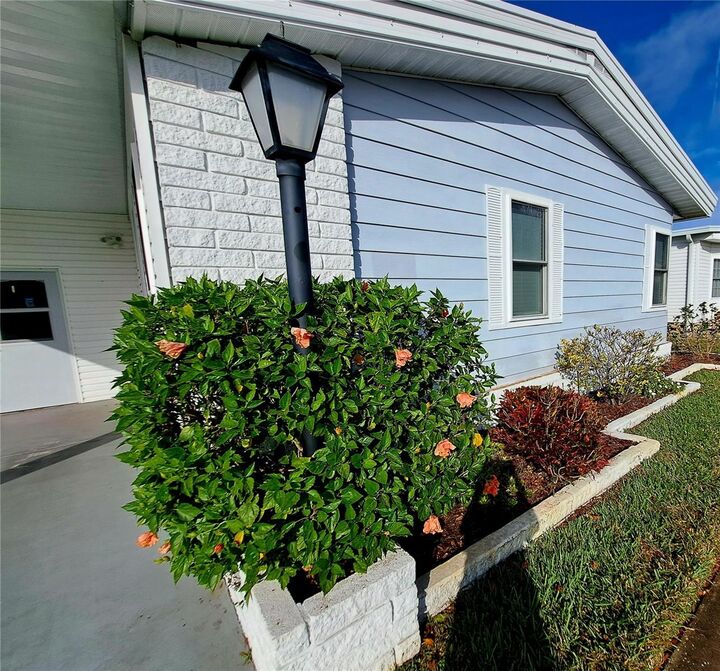 Property Photo: 116 Maple Leaf Drive FL 34684