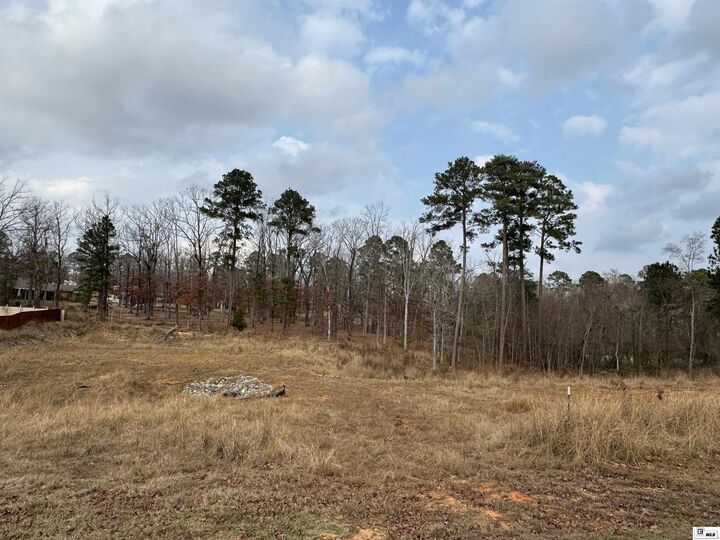 Property Photo:  107 Bonnabel Place  LA 71291 