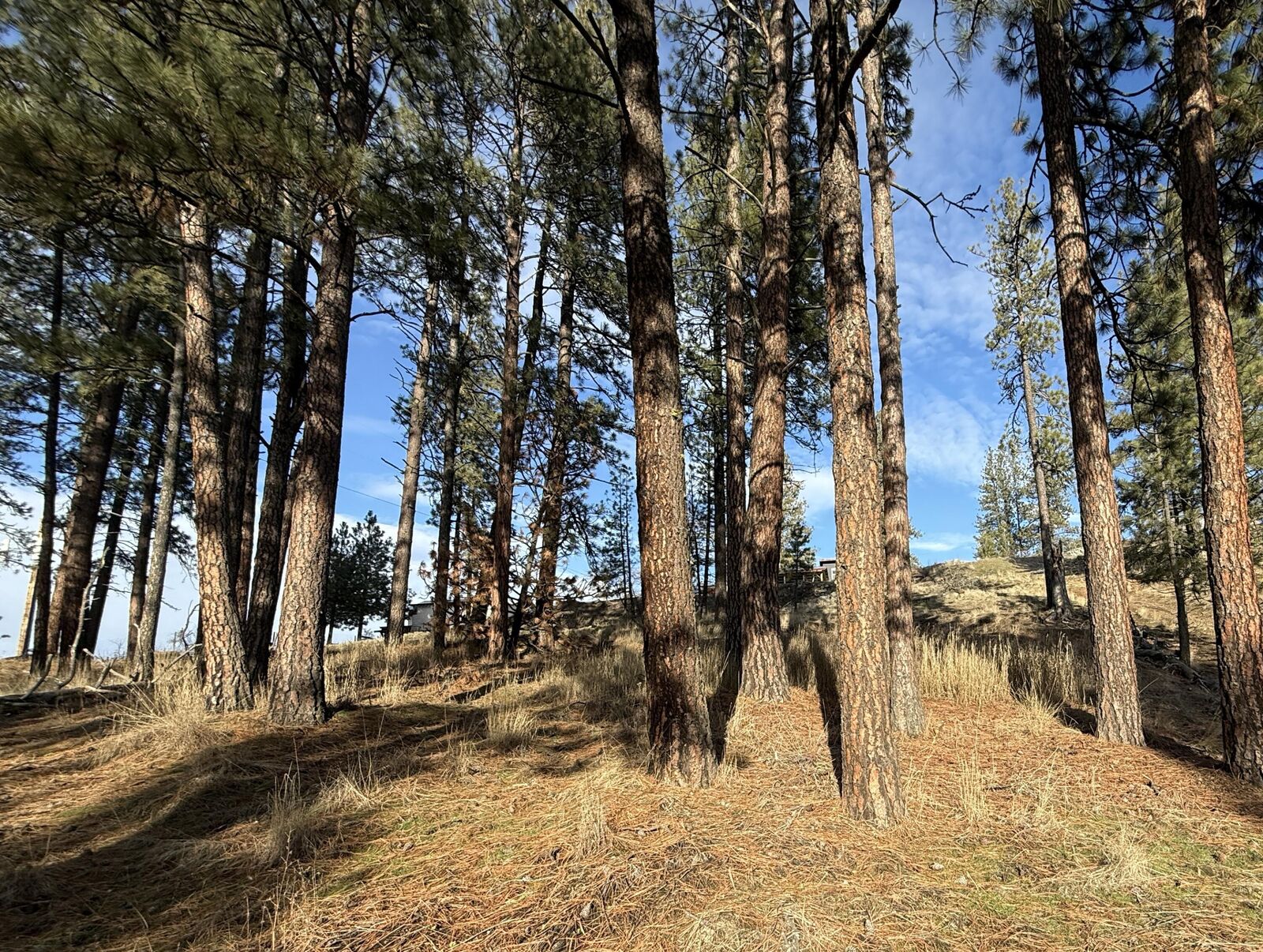 Property Photo:  Tbd Adams St  WA 99166 