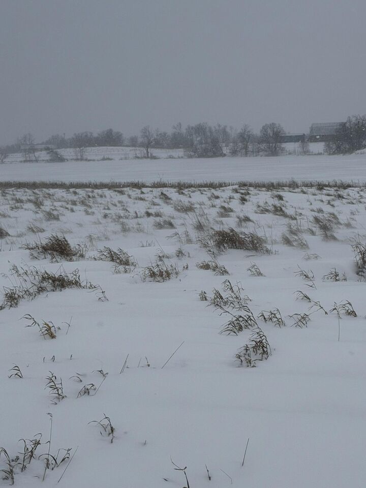 Property Photo:  Tbd 395th  MN 56528 