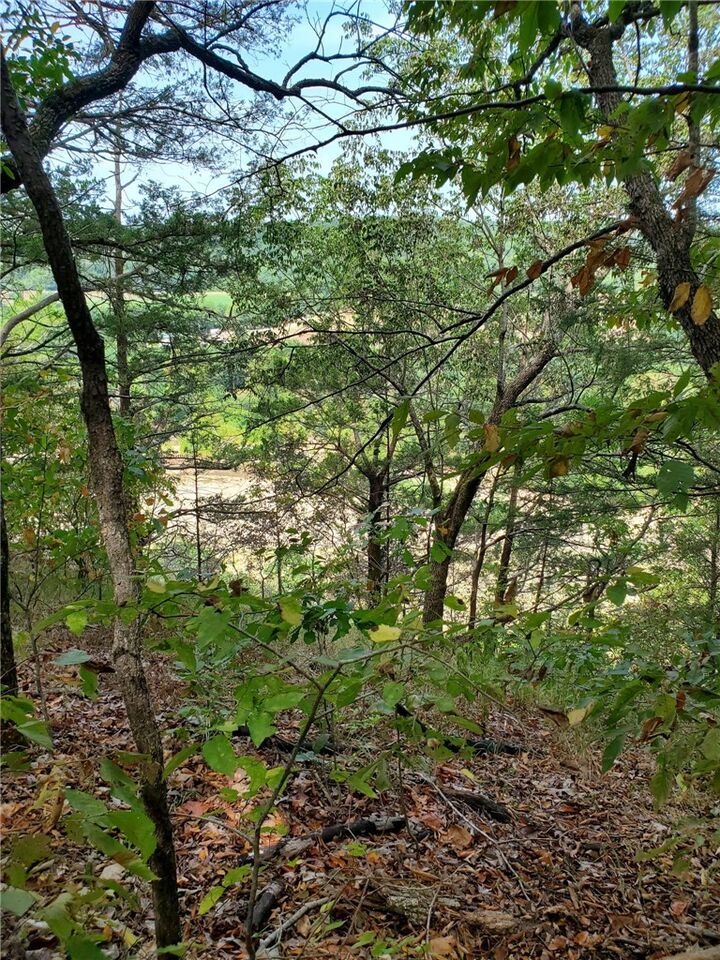 Property Photo:  000 Highway H  MO 64854 