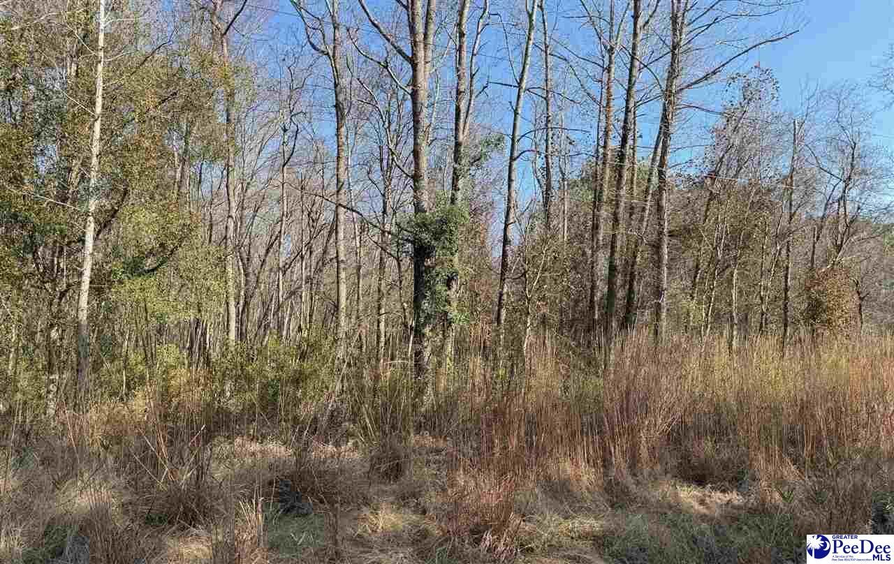 Property Photo:  Tbd Pee Dee Island Road  SC 29581 