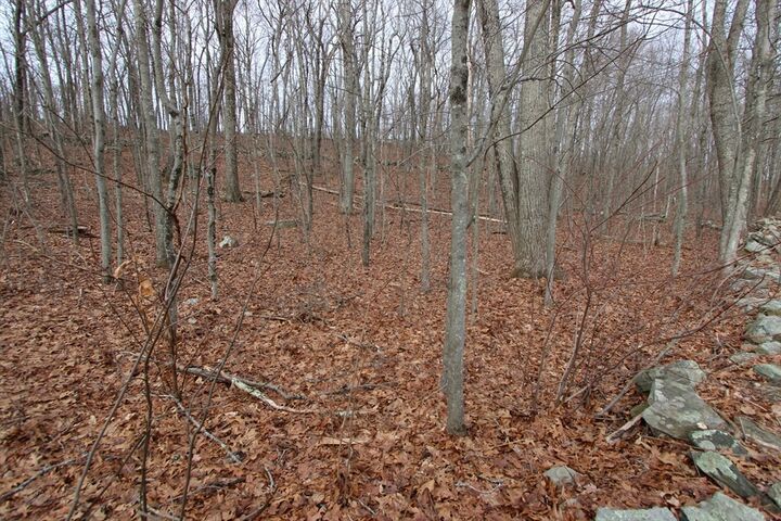 Property Photo: 47 Southwick Rd MA 01590