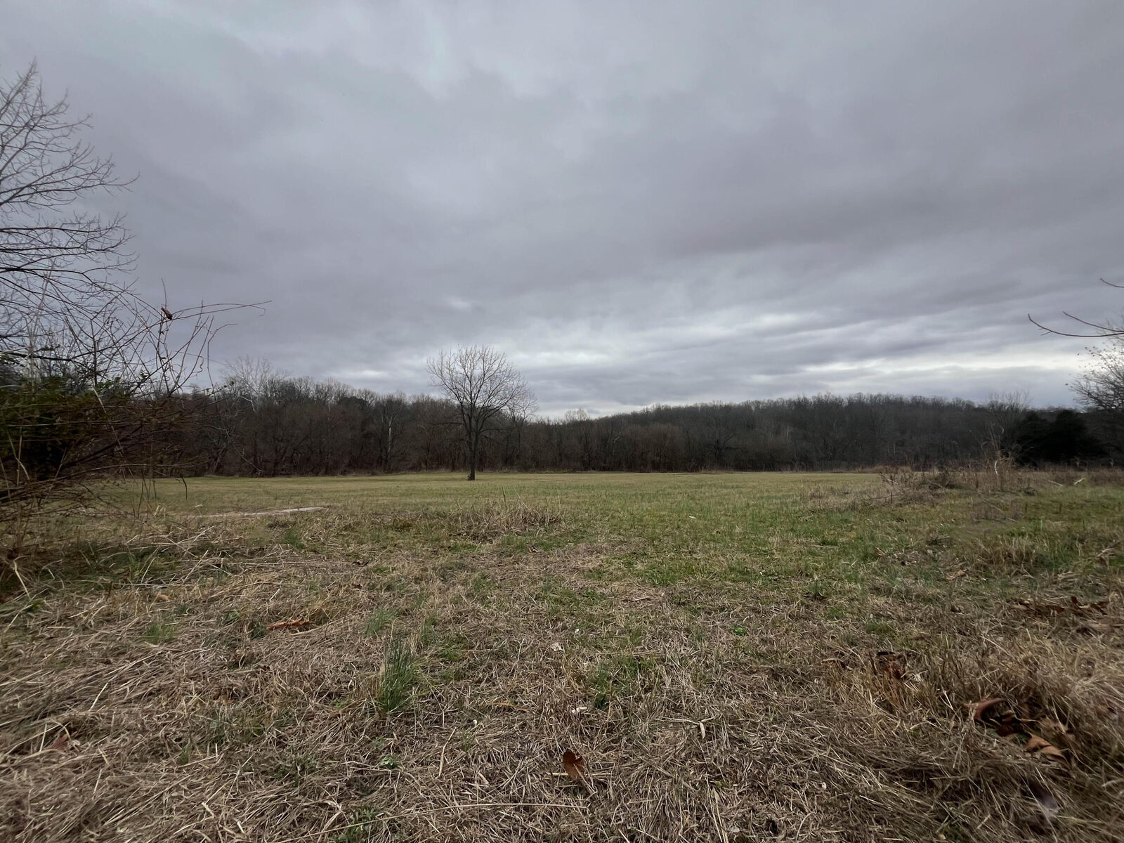 Property Photo:  000 County Road 268  MO 65791 